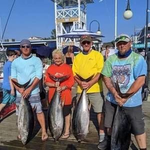 Meet your Posher, Walter